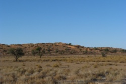 Le Kgalagadi réserve de très beaux panoramas