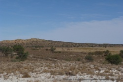 Le cordon de verdure au pied des dunes révèle l'existence de la rivière