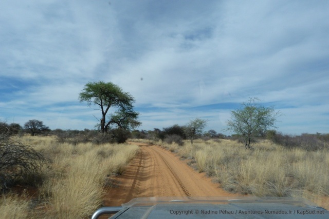 On adore ces paysages typiques de cette partie de l'Afrique australe
