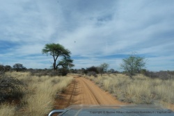On adore ces paysages typiques de cette partie de l'Afrique australe