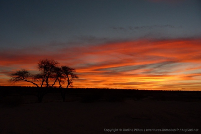 Les couchers du soleil dans le Kalahari sont souvent fantastiques