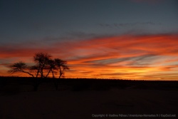 Les couchers du soleil dans le Kalahari sont souvent fantastiques
