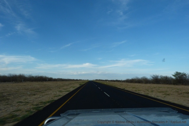 La plupart du temps, les paysages du Botswana sont très monotones sur la route