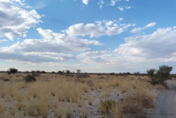 Les paysages sont encore plus désertiques que ceux du KTP