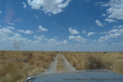 Entre deux pans, les mêmes paysages de savane désertique