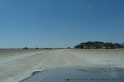 Deception Valley est le joyau du Central Kalahari