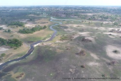 Les paysages grandioses du delta de l'Okavango justifient à eux seuls le survol de ce lieu magique