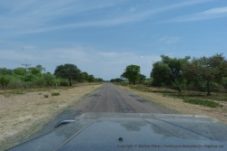 La route qui longe le Panhandle de l'Okavango a une végétation presque luxuriante