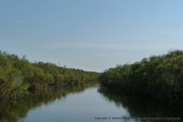 On navigue dans les chenaux étroits du delta