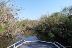 Le delta de l'Okavango est un véritable labyrinthe