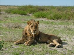afs_2008_1113(032)
