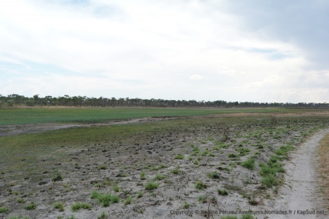 Une herbe grasse et bien verte recouvre le lit de la rivière ainsi que ses berges