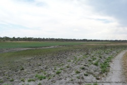 Une herbe grasse et bien verte recouvre le lit de la rivière ainsi que ses berges