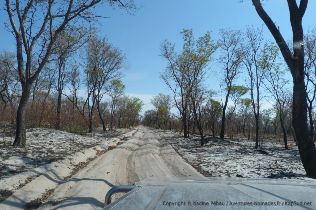 La piste au nord du parc de Khaudum est la portion la plus difficile avec son sable très profond