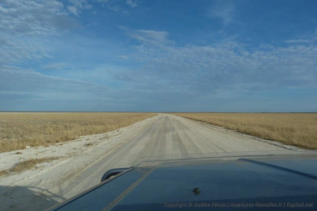 Les pans d'Etosha dans toute leur splendeur