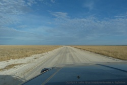 Les pans d'Etosha dans toute leur splendeur