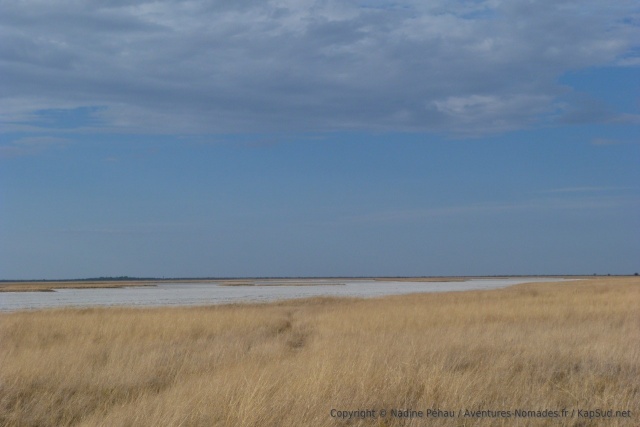Les paysages sont parfois d'une beauté simple presque rude