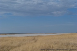 Les paysages sont parfois d'une beauté simple presque rude