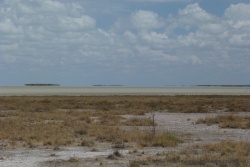 L'immense pan d'Etosha