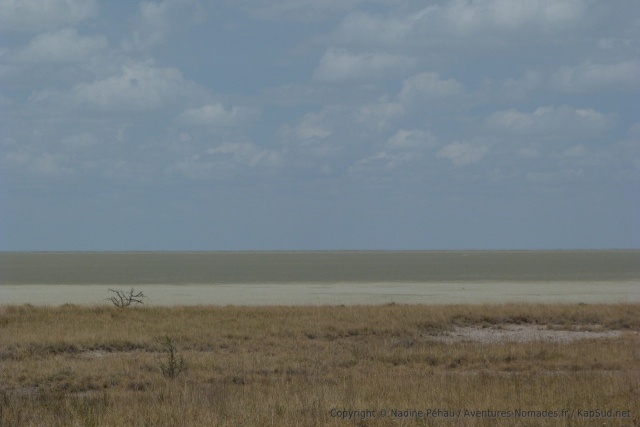 Mirage ou réalité ?
