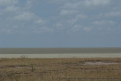 Mirage ou réalité ?