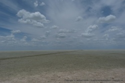 La piste semble continuer pour traverser le vaste pan d'Etosha