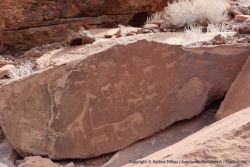 Les très riches gravures rupestres de Twyfelfontein