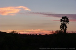 Grandiose coucher de soleil à Palmwag