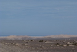 De magnifiques et tentantes dunes qu'on ne pourra pas approcher