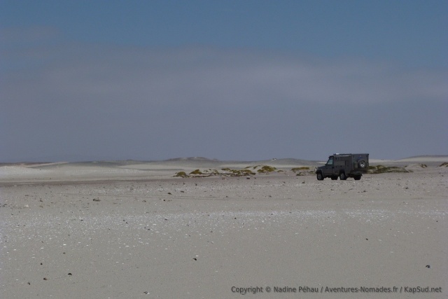 Totoy et la Skeleton Coast