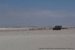 Totoy et la Skeleton Coast