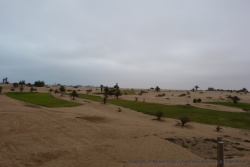 Ici aussi on fait pousser des golfs dans le désert