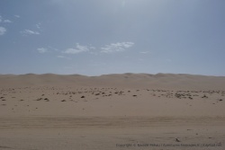 Les dunes du Namib-Naukluft ne sont pas bien loin