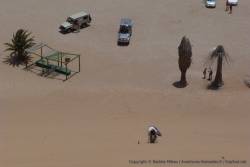 Qu'importe la manière pourvu qu'on atteigne le sommet de la dune