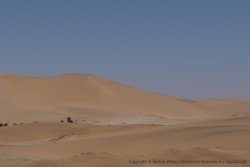 On pourrait se croire à nouveau dans le Sahara