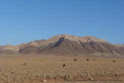 On retrouve avec plaisir nos amis les oryx dans de superbes décors