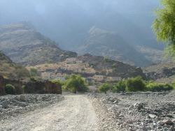 om_2007_0226(002)