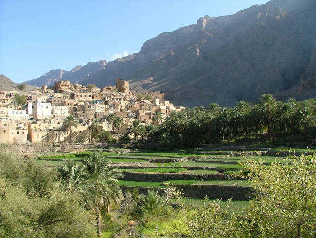 om_2007_0226(021)