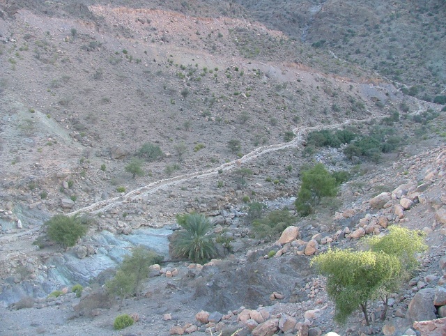 om_2007_0226(030)