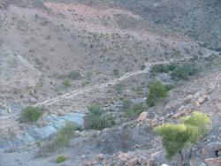 om_2007_0226(030)