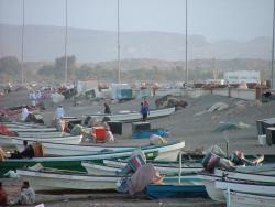 om_2007_0228(028)