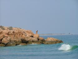 om_2007_0301(004)