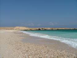 om_2007_0301(009)