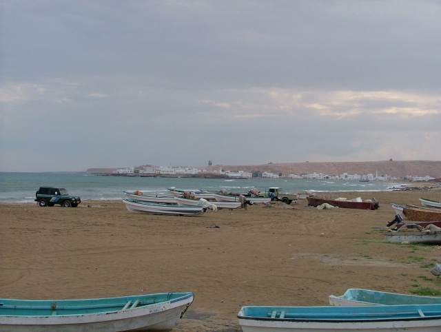 om_2007_0302(013)