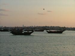 om_2007_0302(040)