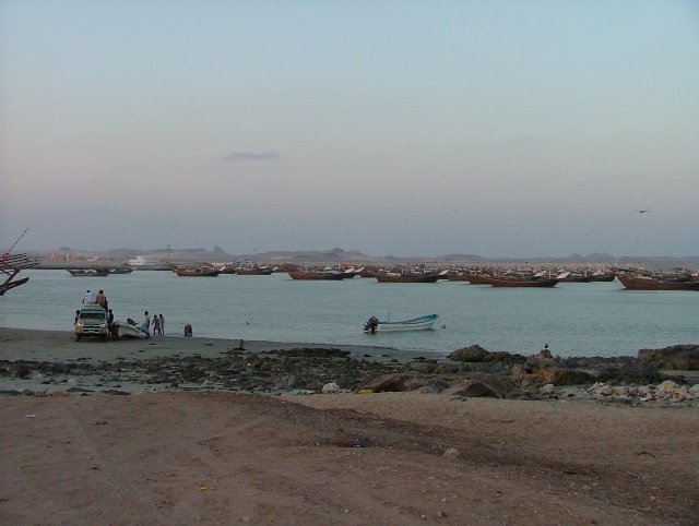 om_2007_0302(041)