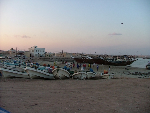 om_2007_0302(042)