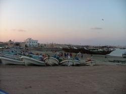 om_2007_0302(042)