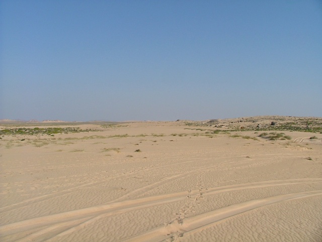 om_2007_0303(004)