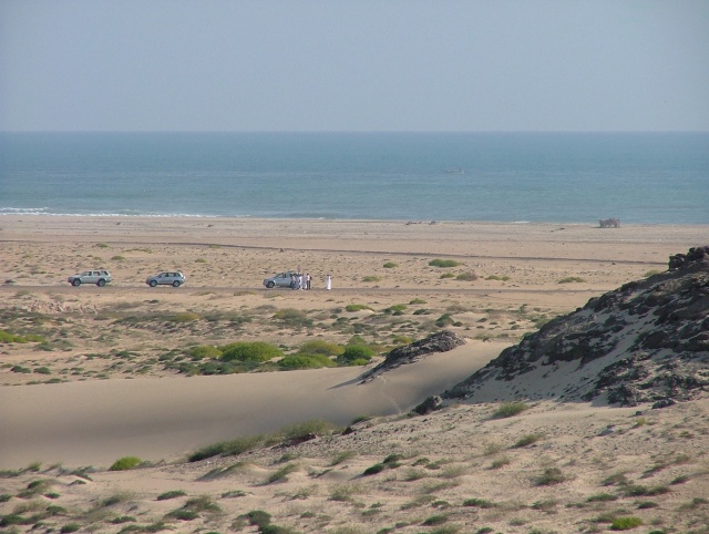 om_2007_0303(010)
